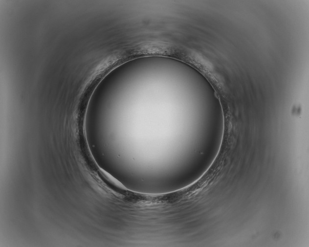 X0000097660250200802291433