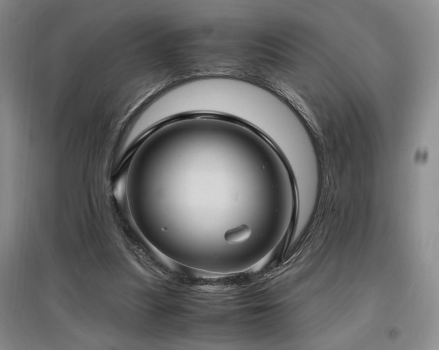 X0000097660251200802291433