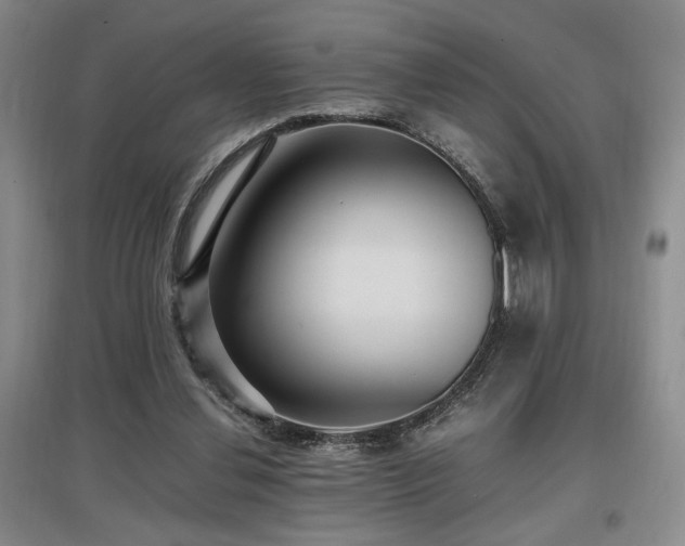 X0000097660252200802291433
