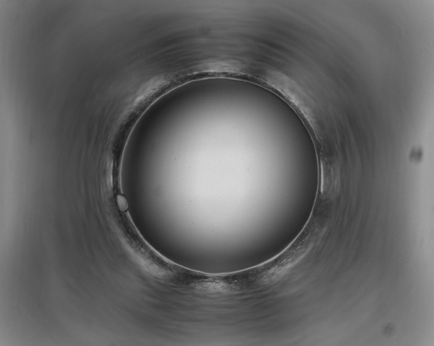 X0000097660253200802291433