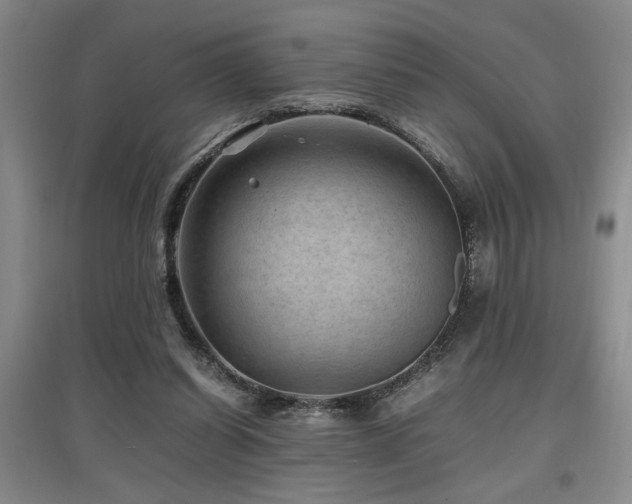 X0000097660254200802291433