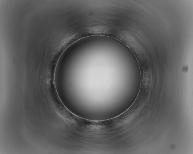 X0000097660255200802291433