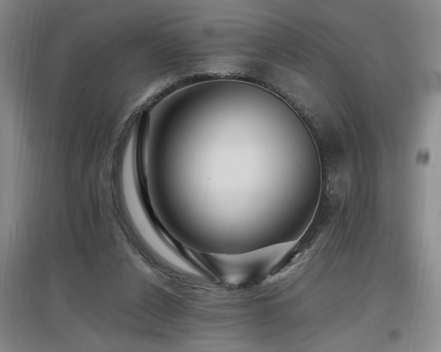 X0000097660256200802291433