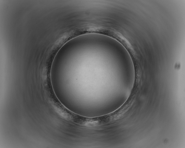 X0000097660257200802291433