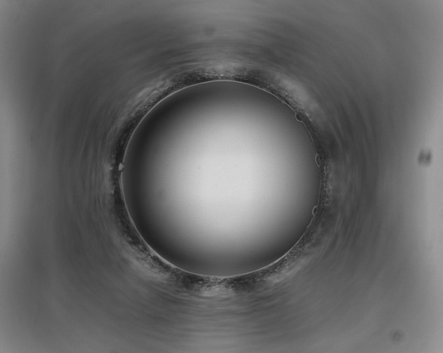 X0000097660258200802291433