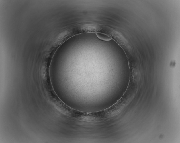 X0000097660259200802291433