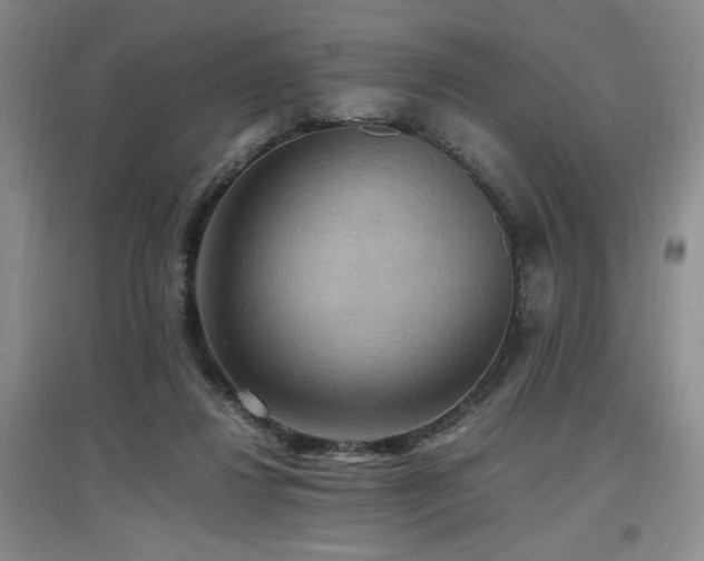 X0000097660260200802291433