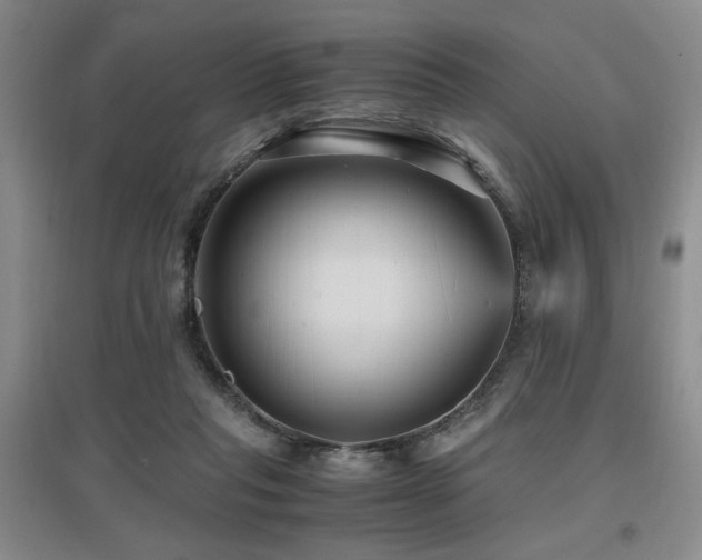 X0000097660261200802291433