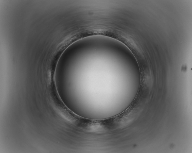 X0000097660262200802291433