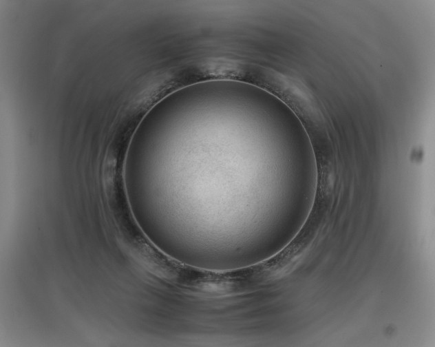 X0000097660263200802291434
