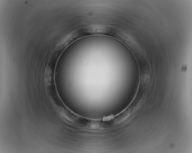 X0000097660264200802291434