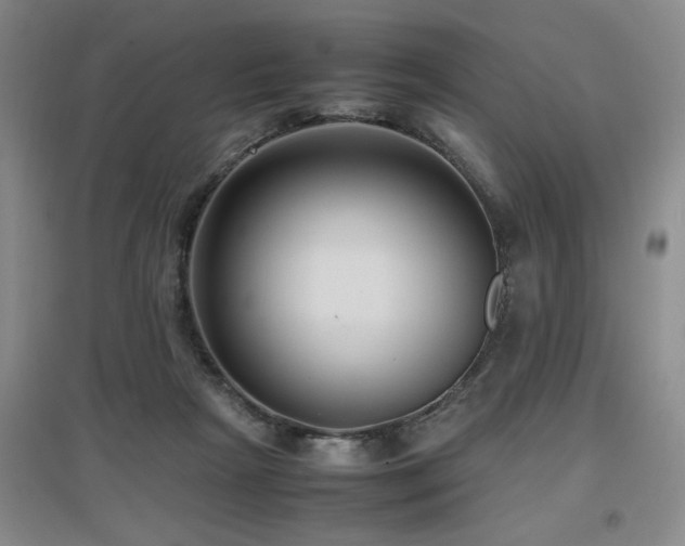 X0000097660265200802291434