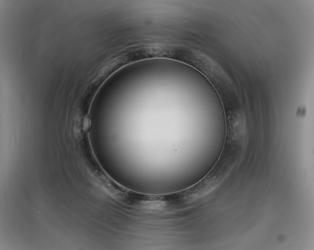 X0000097660266200802291434