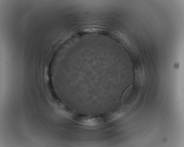 X0000097660267200802291434