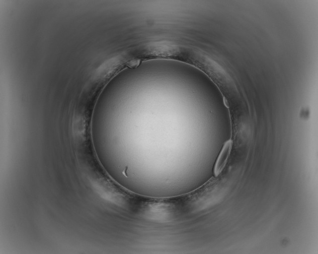 X0000097660268200802291434
