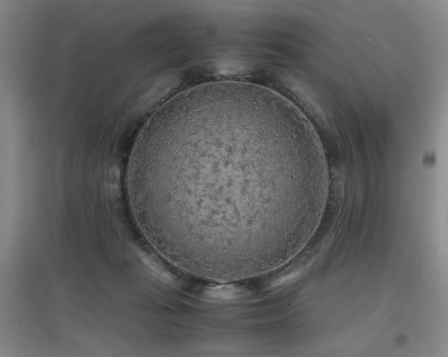 X0000097660269200802291434
