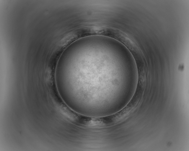X0000097660270200802291434