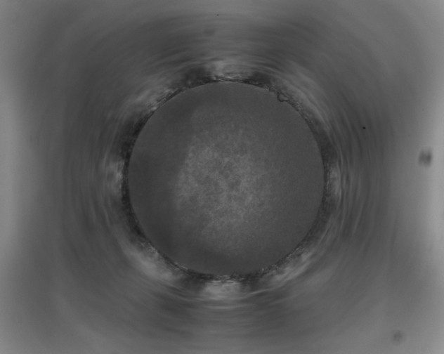 X0000097660271200802291434