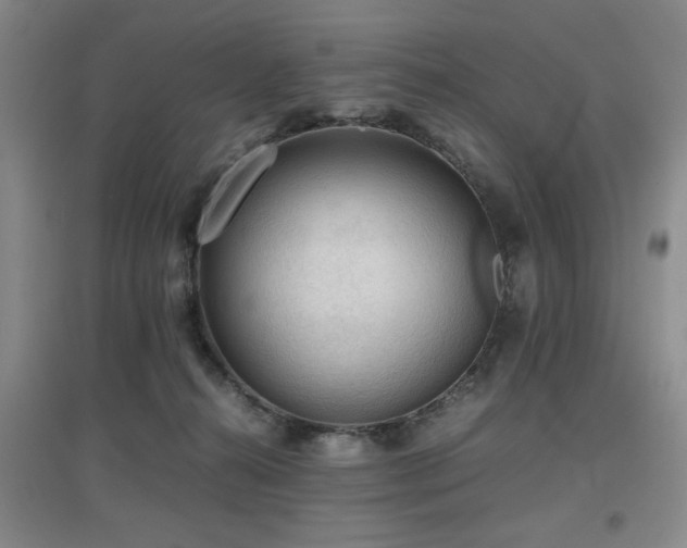 X0000097660272200802291434