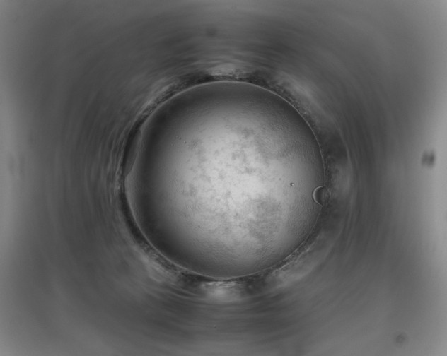 X0000097660273200802291434