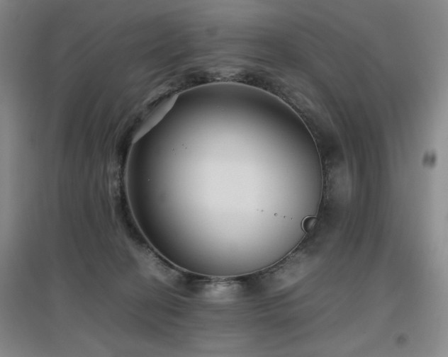 X0000097660274200802291434