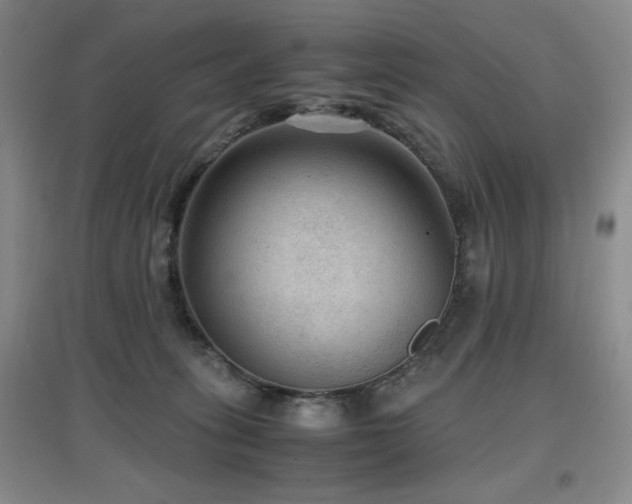 X0000097660275200802291434