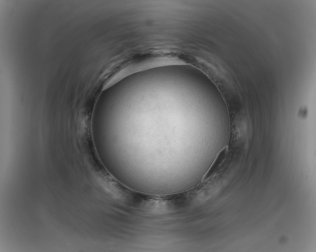 X0000097660276200802291434