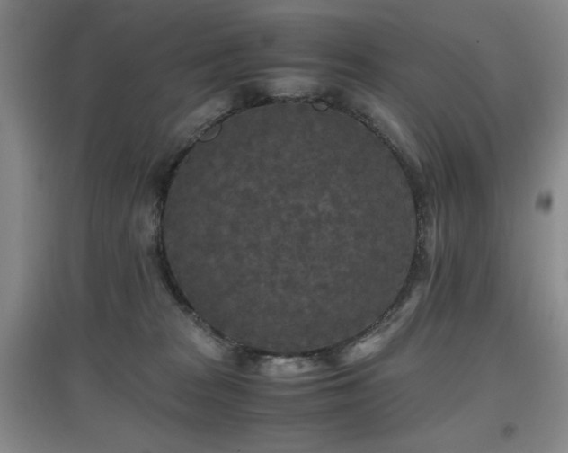 X0000097660277200802291434