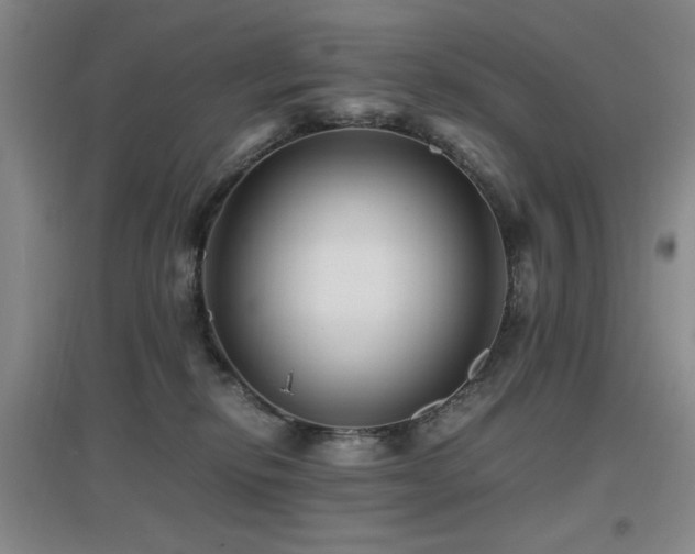 X0000097660278200802291434