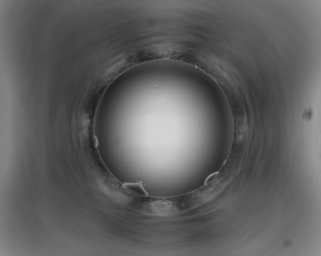 X0000097660279200802291434