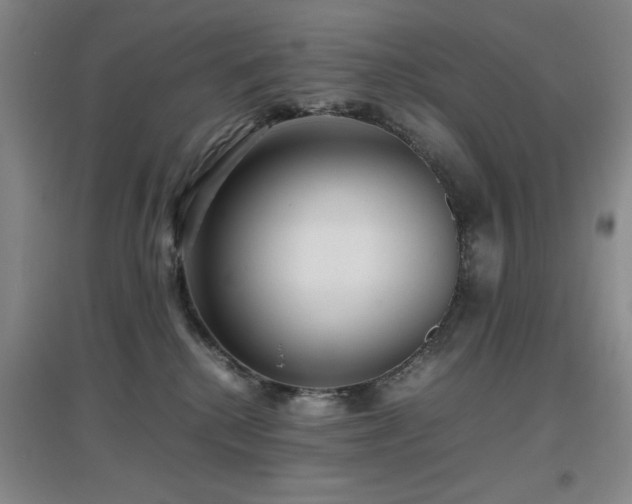 X0000097660280200802291434