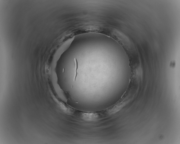 X0000097660281200802291434
