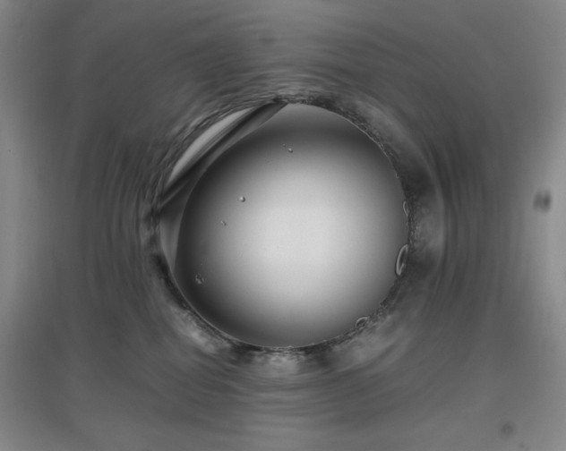 X0000097660282200802291434