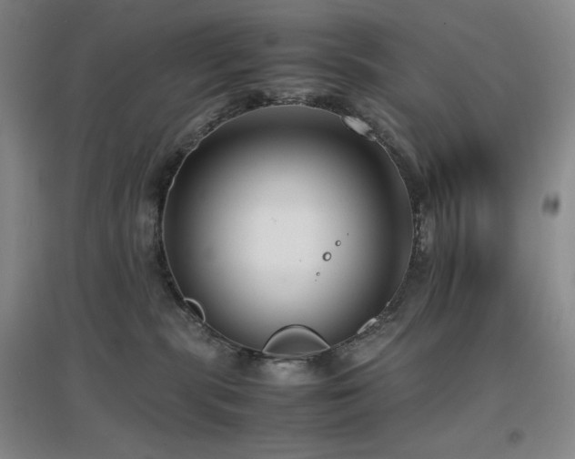 X0000097660283200802291434