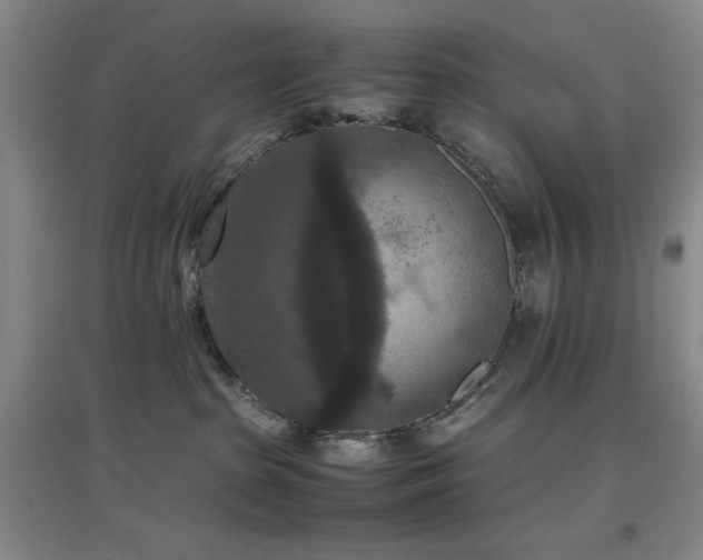 X0000097660285200802291434