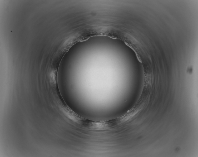 X0000097660286200802291434