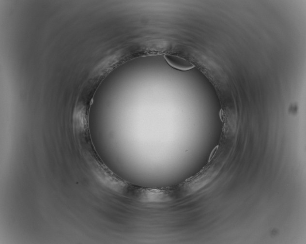 X0000097660287200802291434