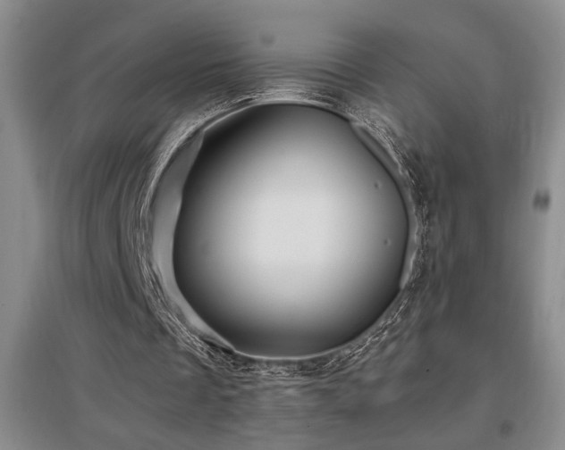 X0000097660289200802291433
