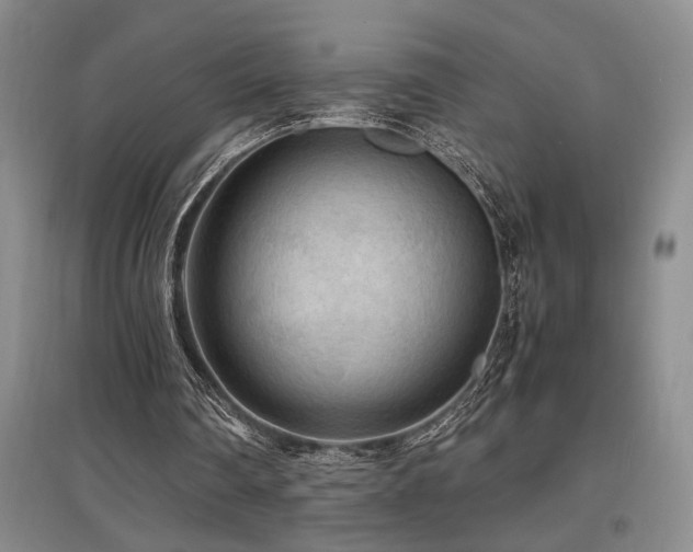 X0000097660290200802291433
