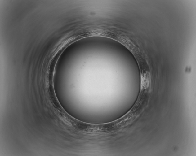 X0000097660291200802291433