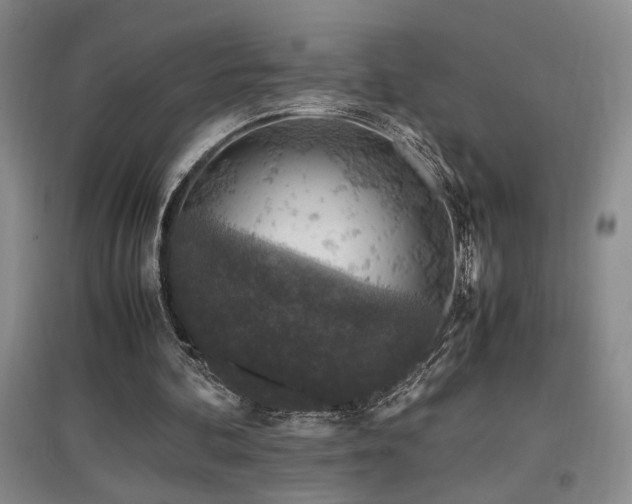 X0000097660292200802291433