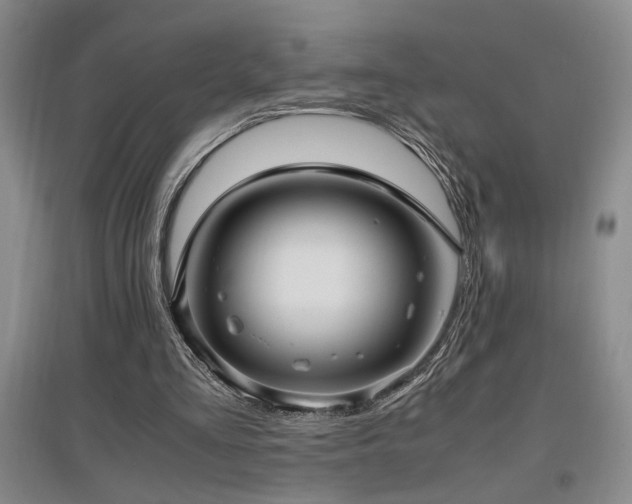 X0000097660293200802291433