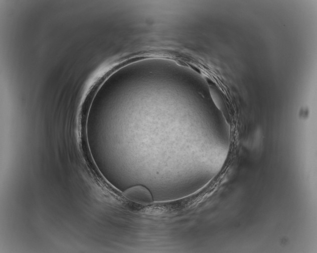 X0000097660294200802291433
