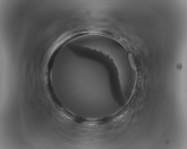 X0000097660295200802291433