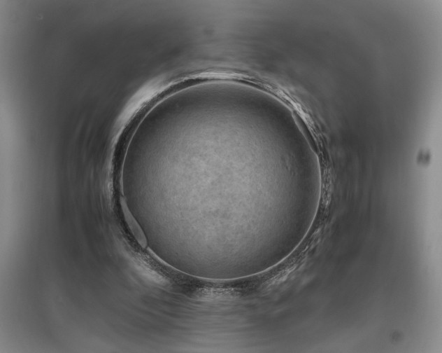 X0000097660296200802291433