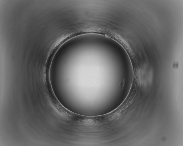 X0000097660298200802291433