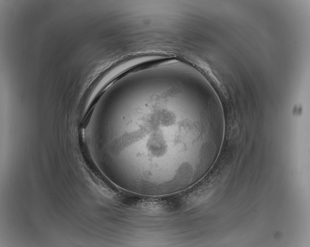 X0000097660299200802291433