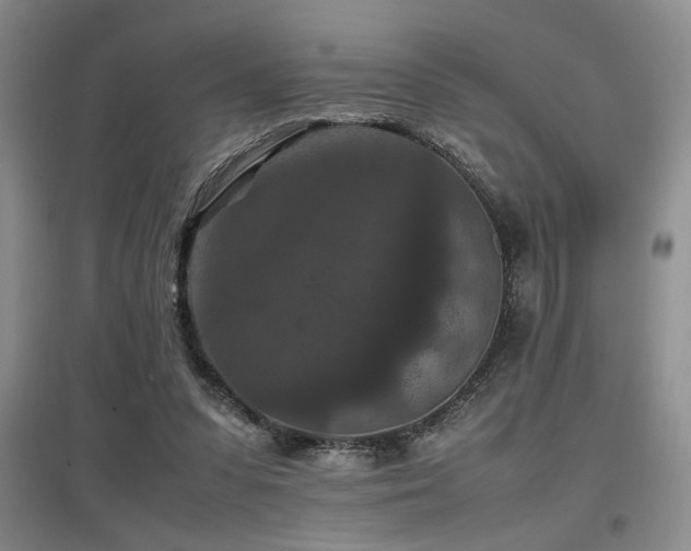 X0000097660303200802291433
