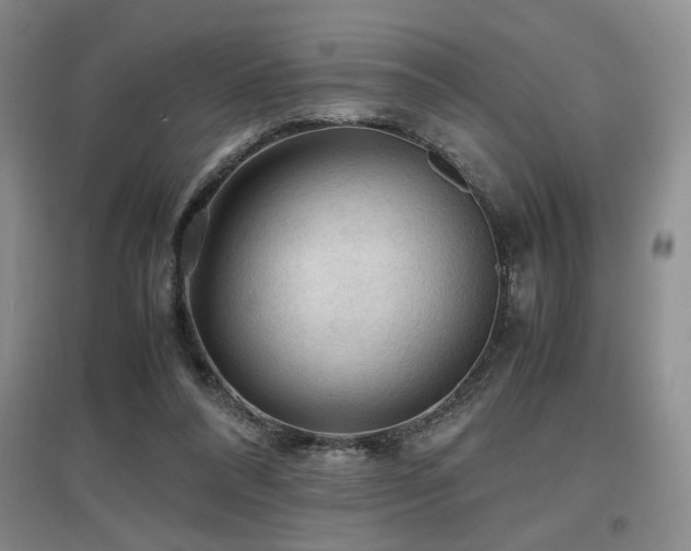 X0000097660304200802291433