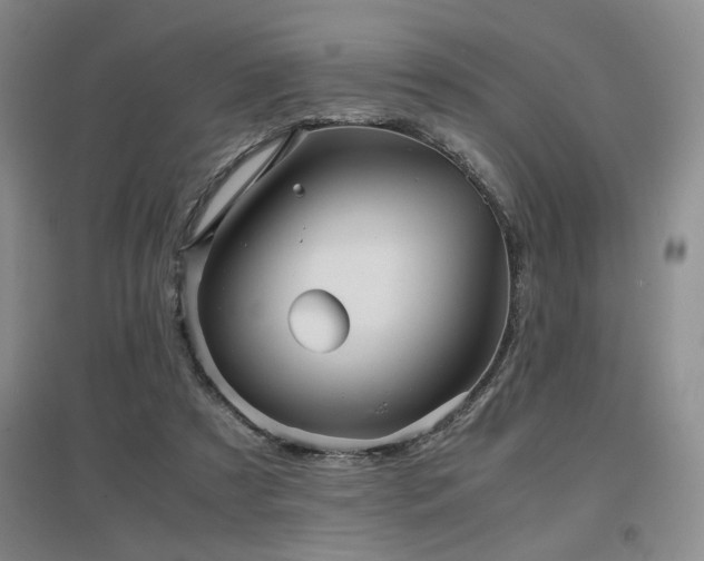 X0000097660305200802291433